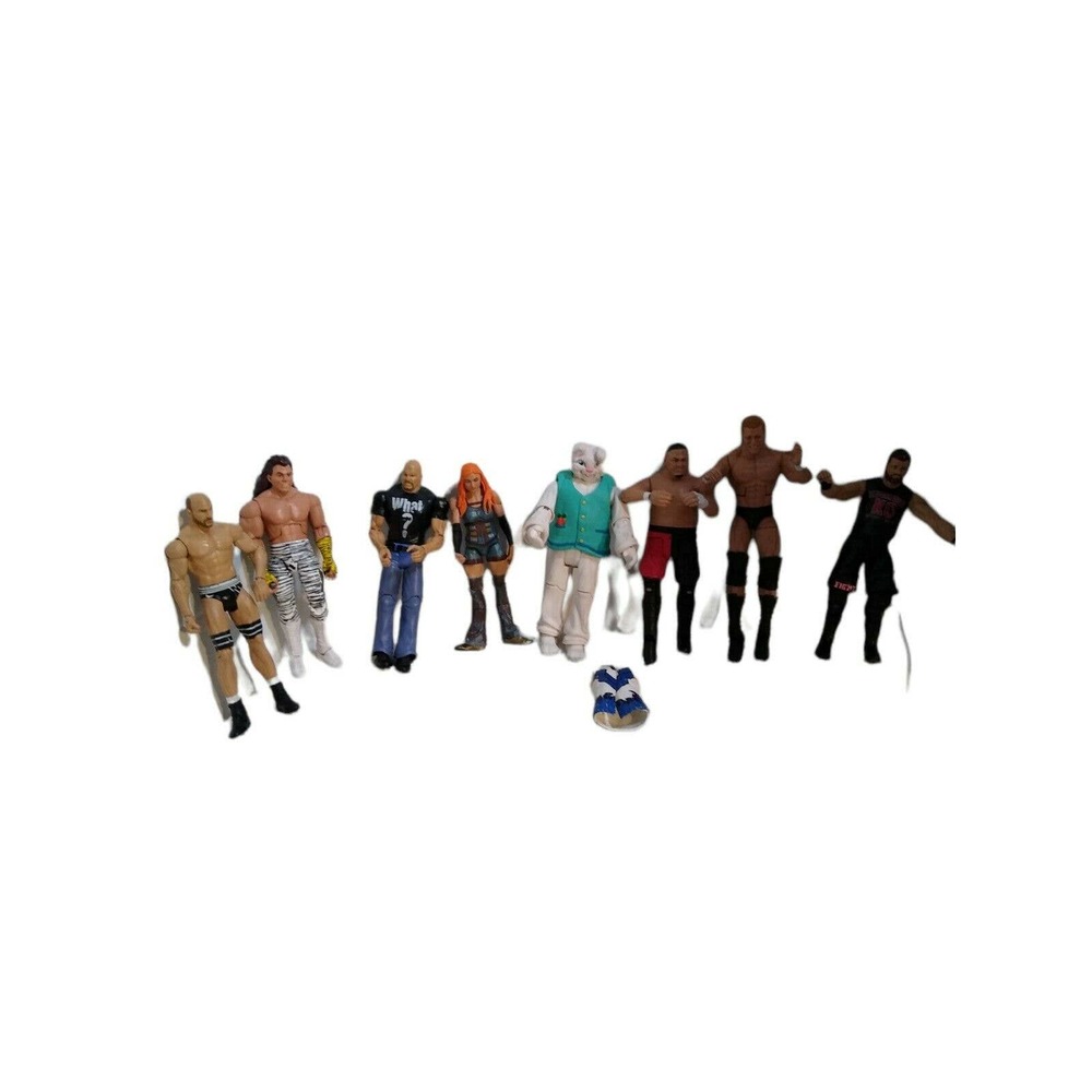 Mix Lot See Wrestlers Adam Rabbit Stone Cold Steve Austin Becky Lynch (8)